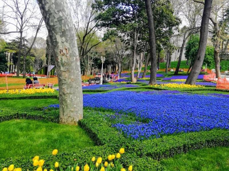 Delightful Suite Sultanahmet I อิสตันบูล ภายนอก รูปภาพ